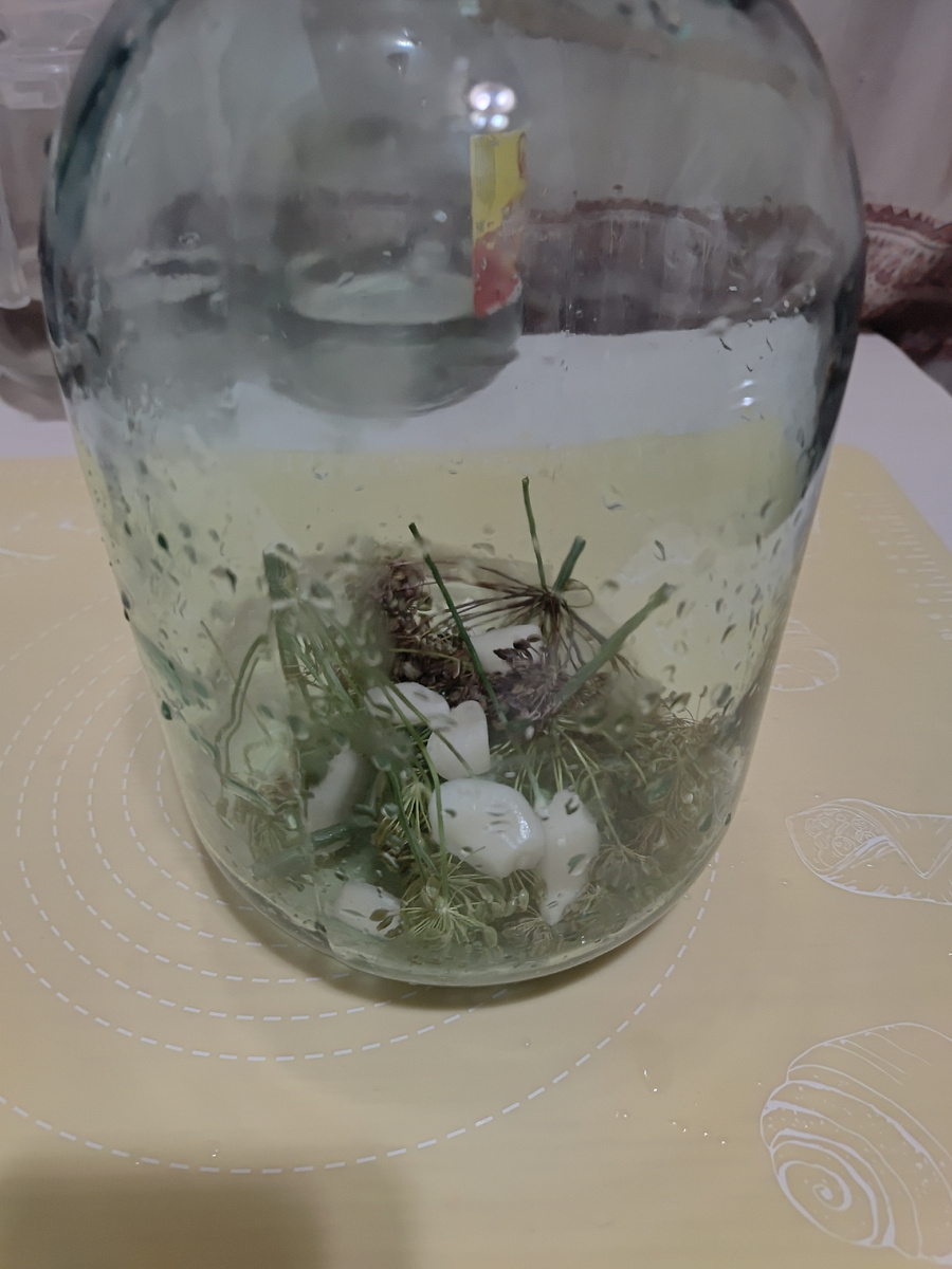 Так как живу в городе, то листья хрена и вишни, я не нашла 🙈Довольствовалась только зонтиками укропа 😁