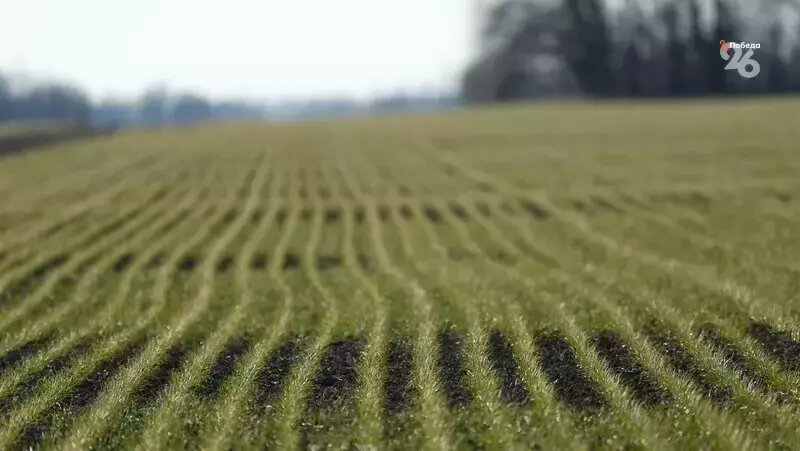      Фото: ИА «Победа26»