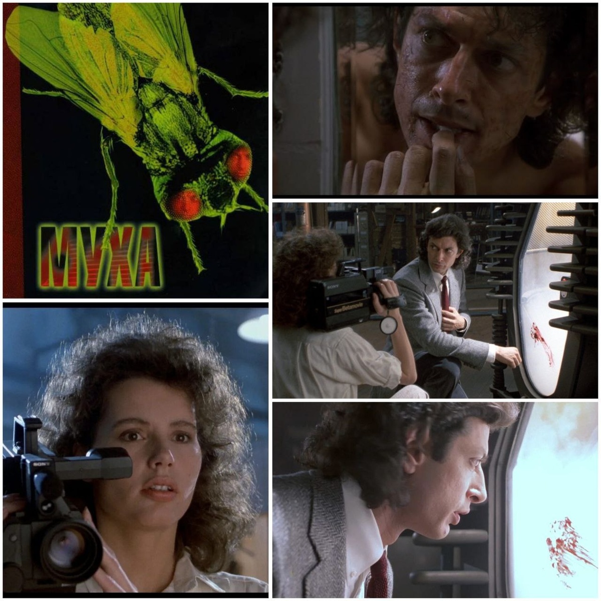 КиноПоиск 7.3