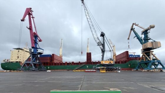     Фото: Телеграм-канал губернатора Архангельской области Александра Цыбульского