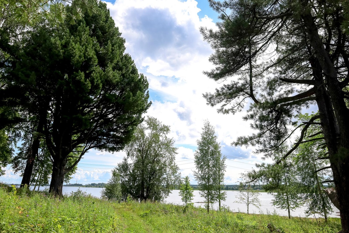 Под особой охраной здесь находятся более 160 видов животных.  Фото: Автор ФедералПресс / Елена Майорова