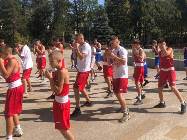     Источник: Республиканская Федерация бокса ЛНР