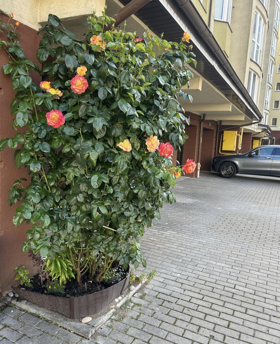 Калининград 