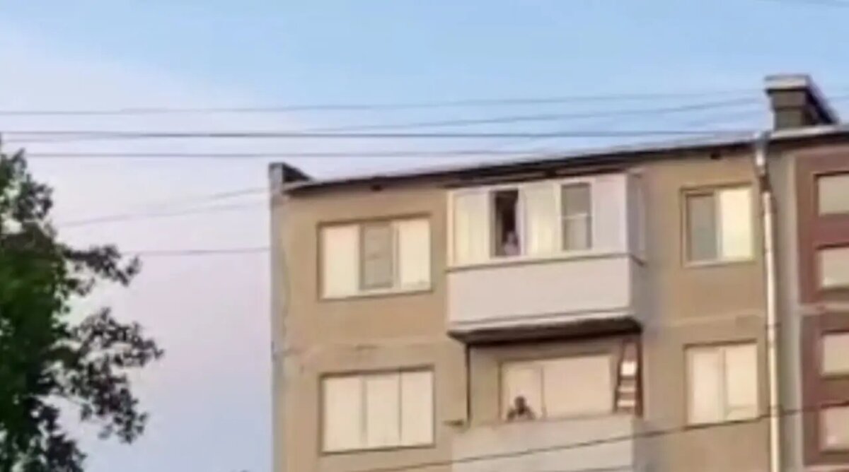    Фото: скриншот из видео пресс-службы прокуратуры Петербурга