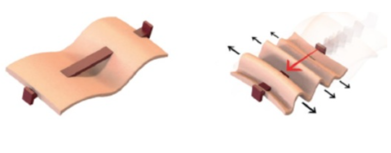 рис.2 Пример работы динамических векторов в тканях лица.