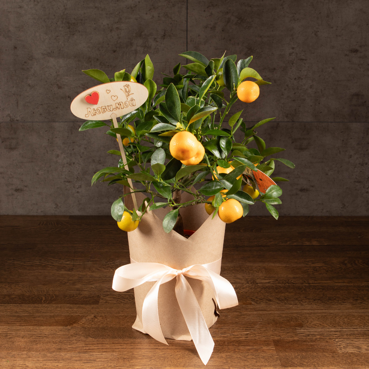 Каламондин 