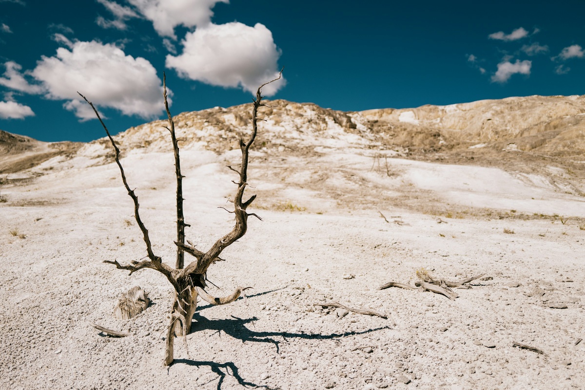 Фото с бесплатного фотостока https://unsplash.com, автор K. K.