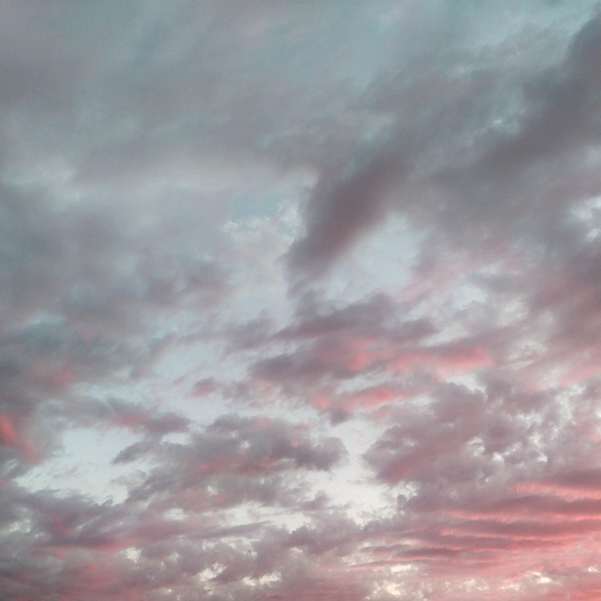 Тучи над семьей сгущаются.Фото автора канала