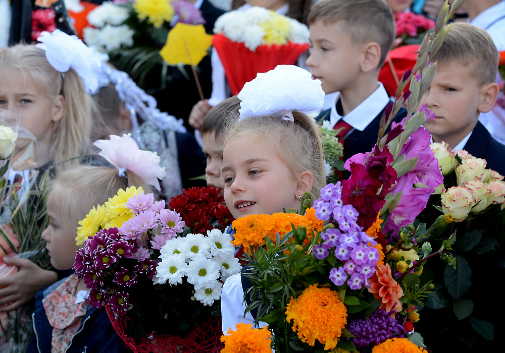 На заседании правительства обсудили готовность школ и детсадов к учебному году