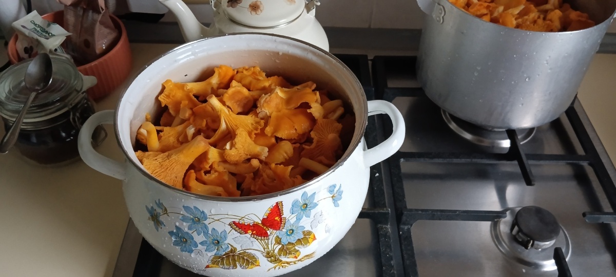    Сделал на пробу - всем понравилось. А я и обрадовался. И еще 5 банок грибов в маринаде закрыл на зиму