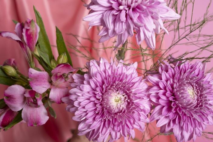     Фото: freepik.com