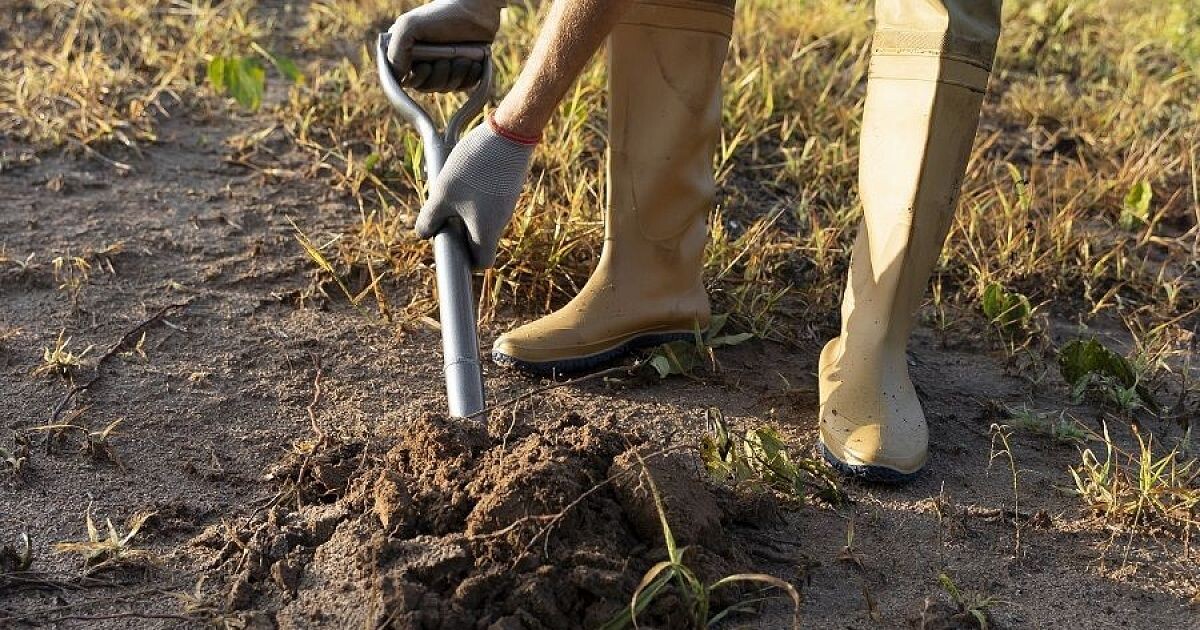Агроном научил грамотно копать огород осенью — почва оздоровляется, а весной быстрей прогревается!