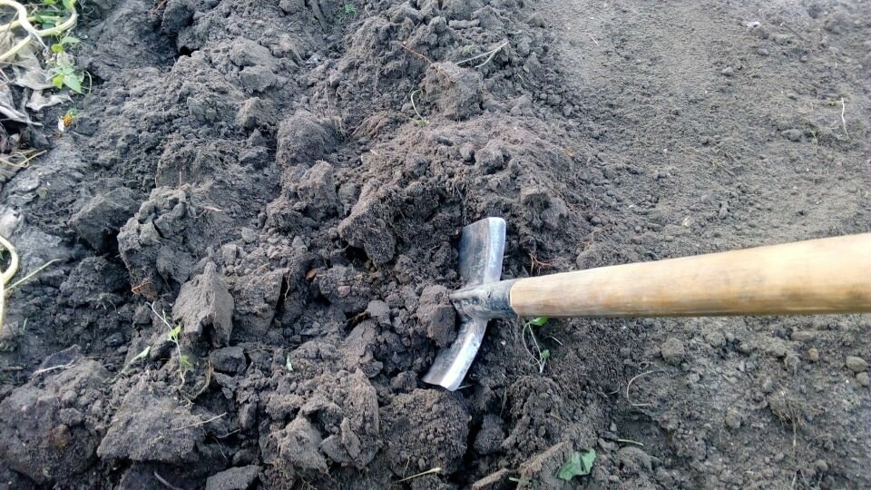 Нужно ли перекапывать почву осенью