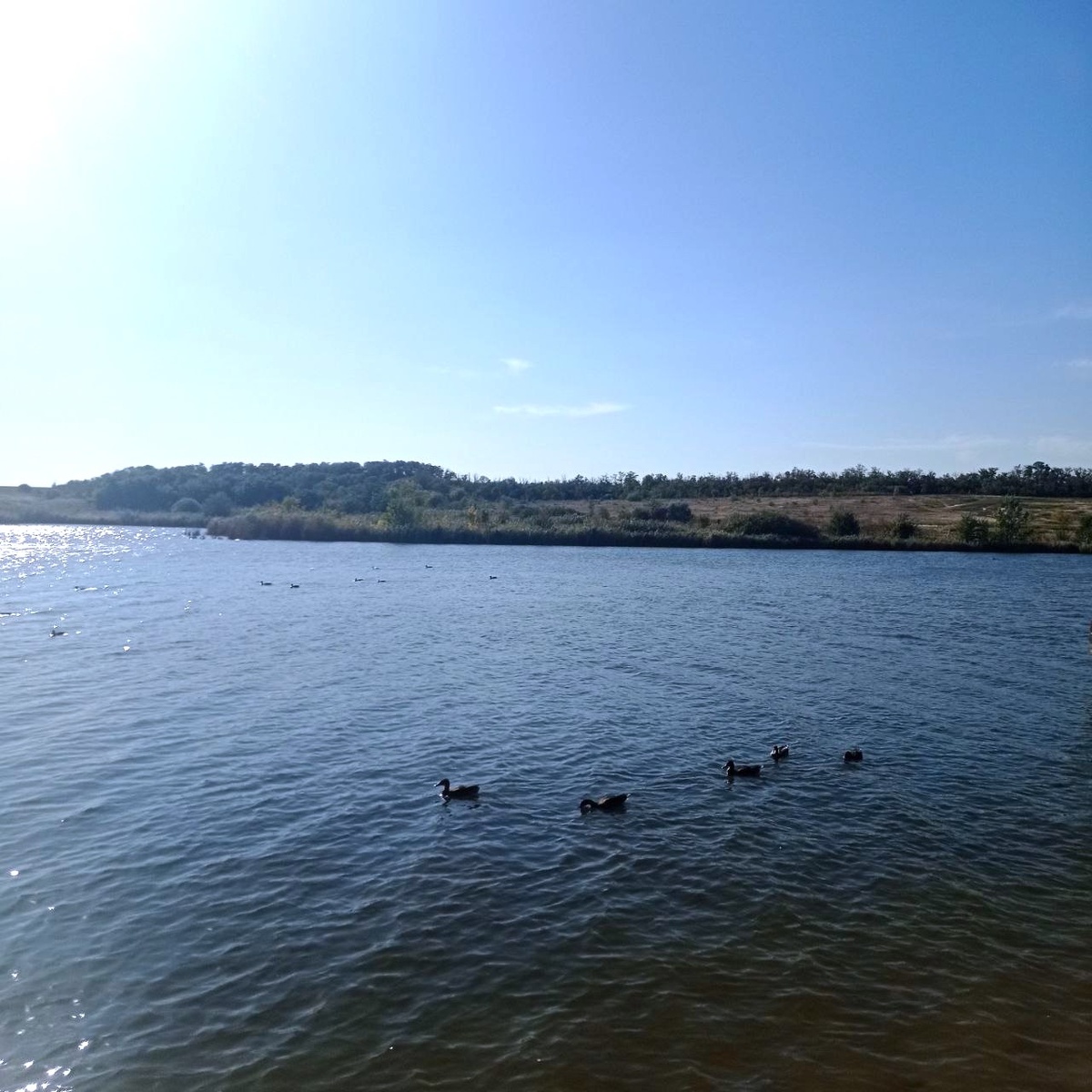 Озеро в Южном парке птиц "Малинки"