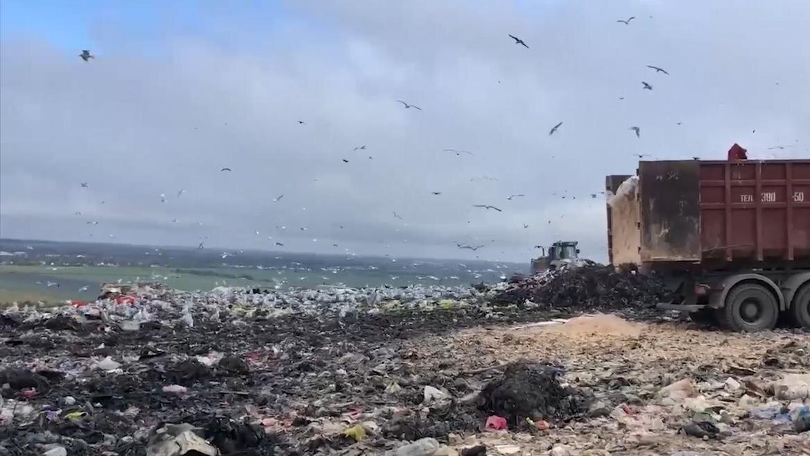    Фото: пресс-служба Росприроднадзора по СЗФО