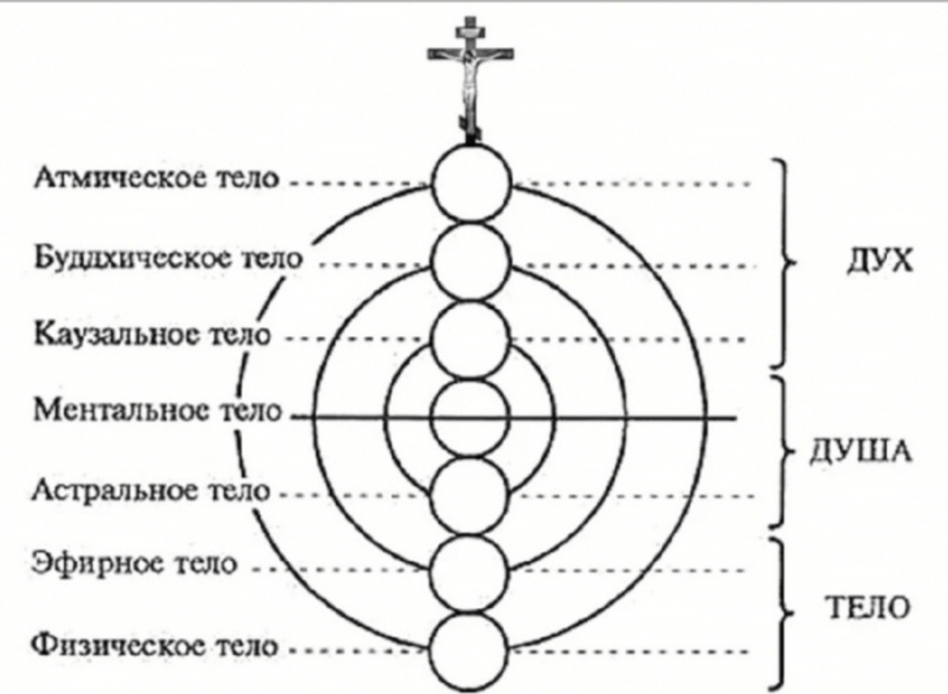 Высшие тонкие тела- надстройки: каузальное, буддхическое, атмическое