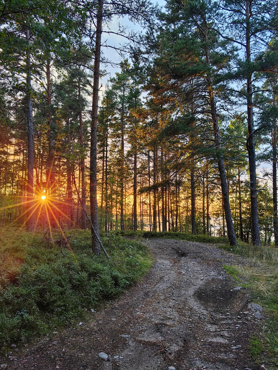 Дорога к Ладоге