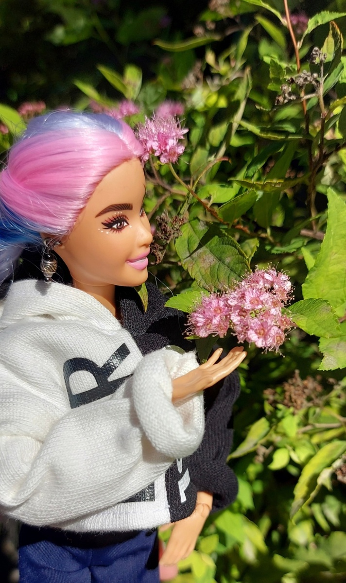 Флай на прогулке в Ботаническом саду Санкт-Петербурга. Фото автора канала.