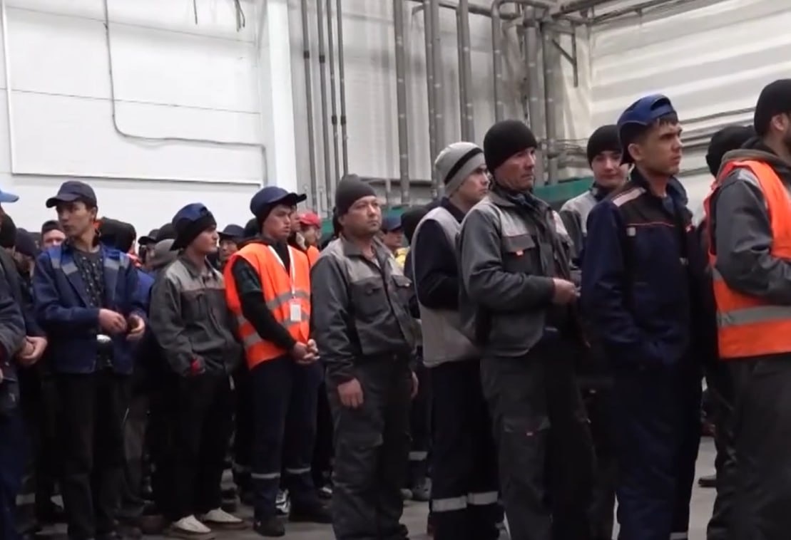 Фото: Prt Scr rutube.ru / МВД МЕДИА