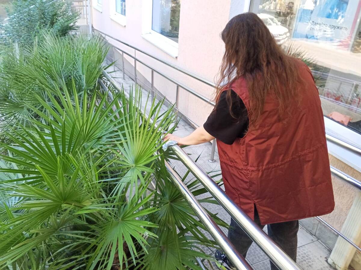    Фото: Telegram/МЦУ Сочи