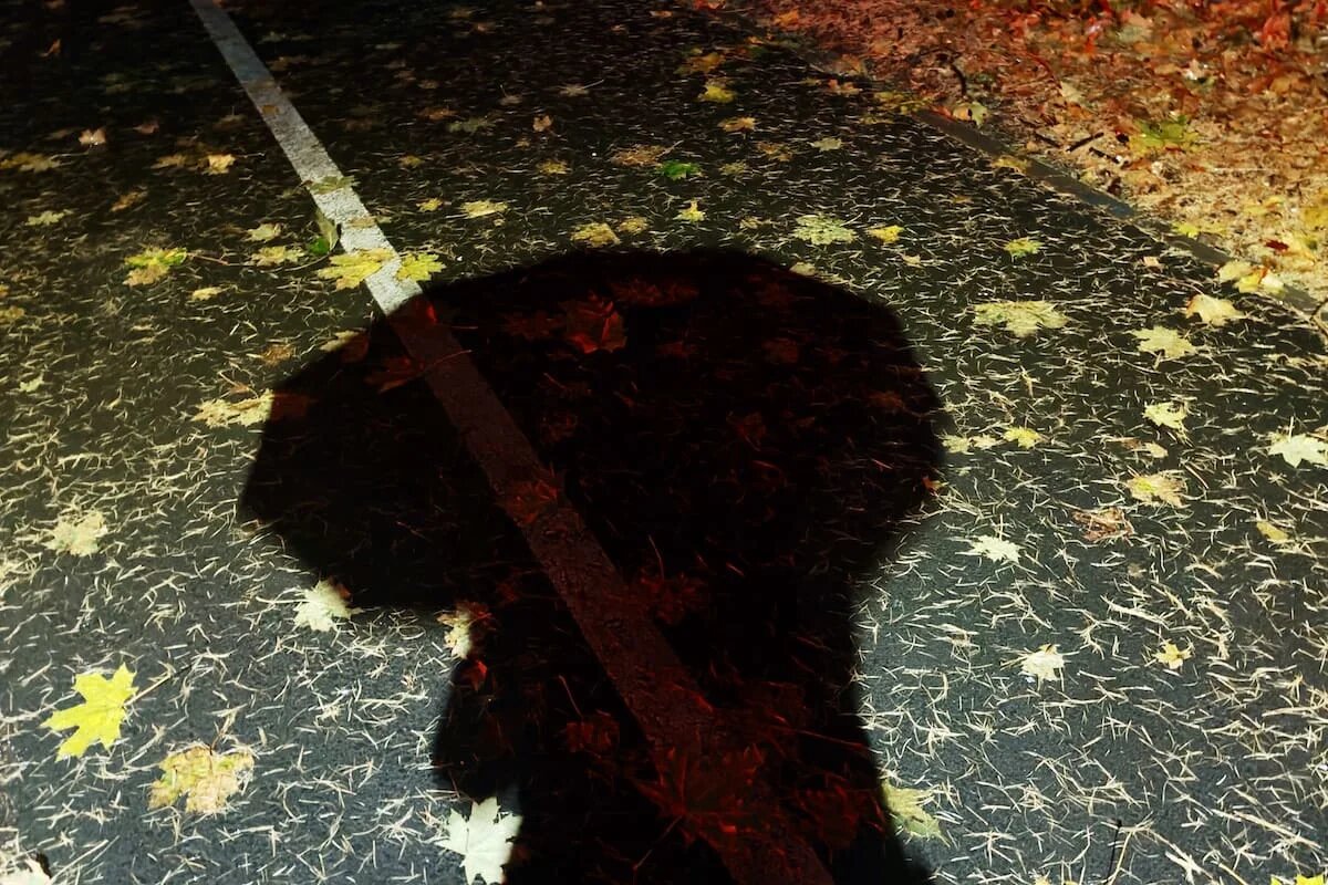 Фото: UfacityNews.ru