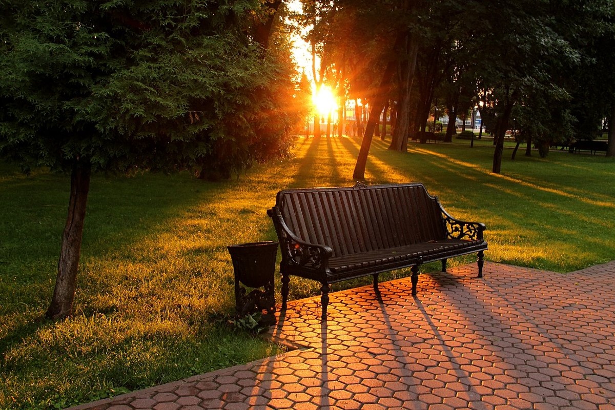 Картинка из свободного доступа