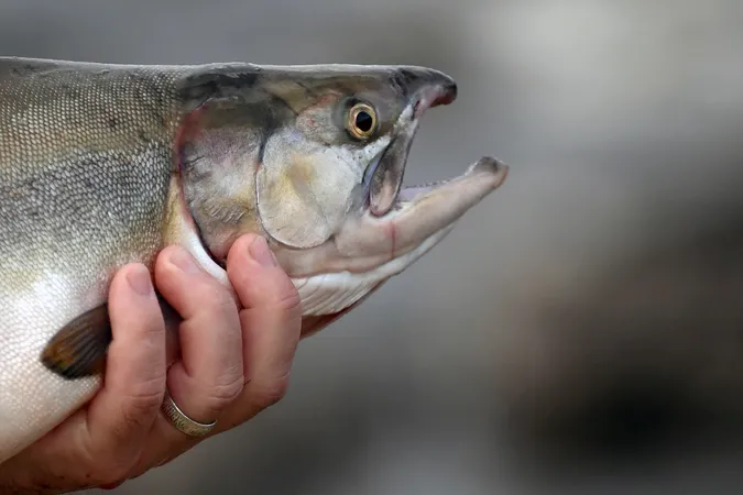 Фото: Лев Федосеев/ТАСС
