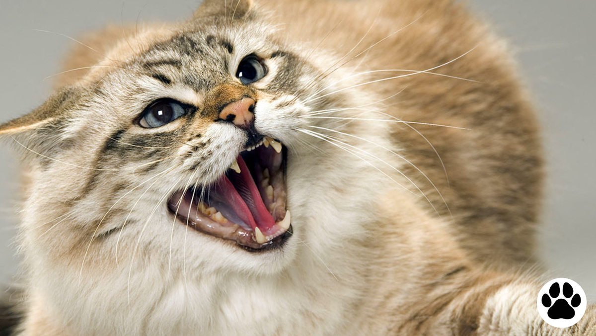 Когда мне плохо