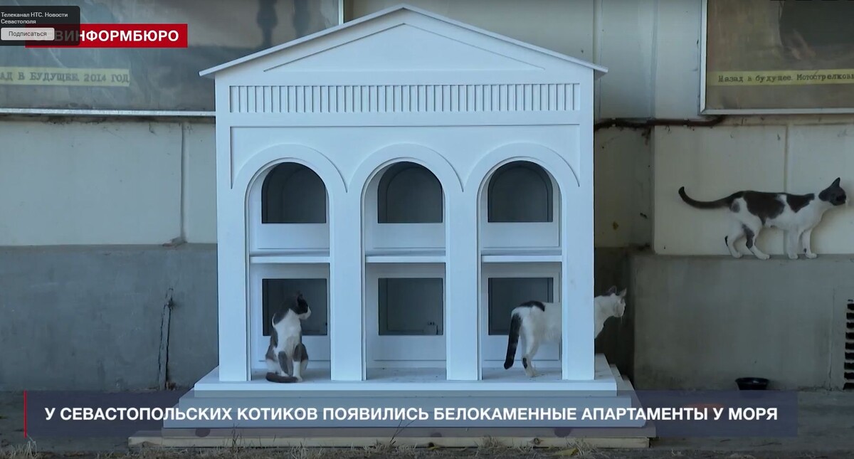 Кадр из видео телеканала НТС