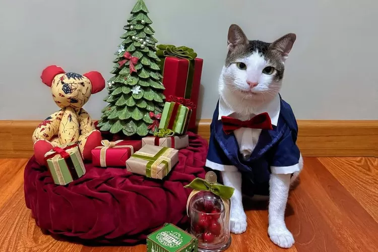 Бобби принимает подарки на Новый Год