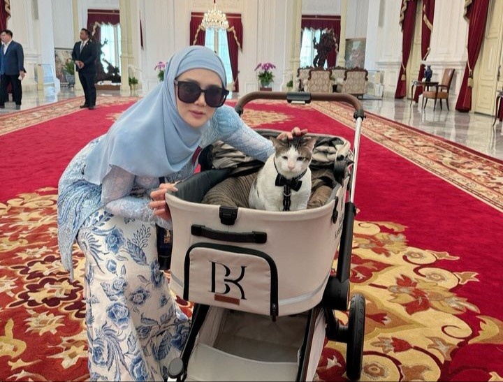 В той самой коляске с личным логотипом