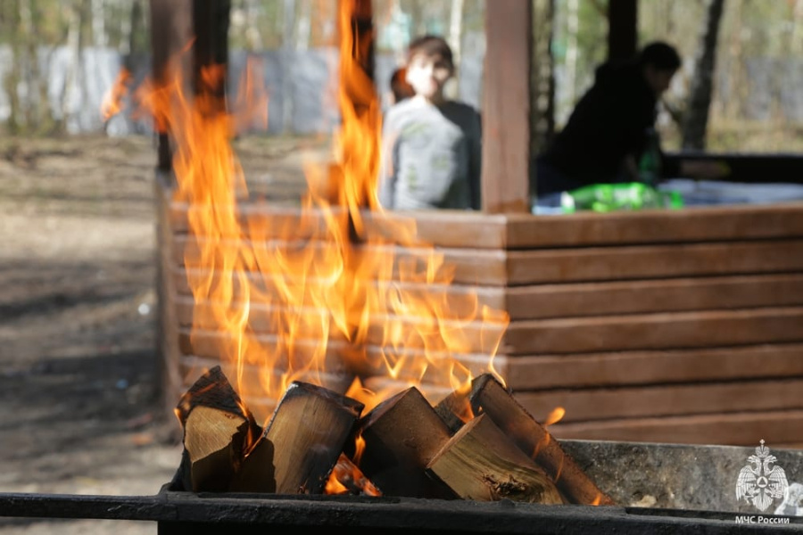     Безопасный шашлык: рекомендации от спасателей Копыльского РОЧС