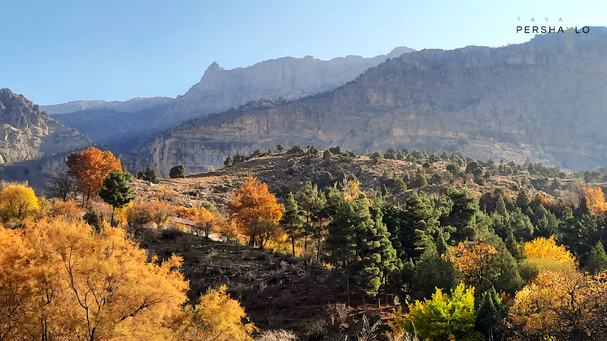 Осень в Узбекистане — идеальное время для поездки в Байсун. Воздух чистый, краски невероятные! Это must-see направление для тех, кто ищет аутентичности и природной красоты. 