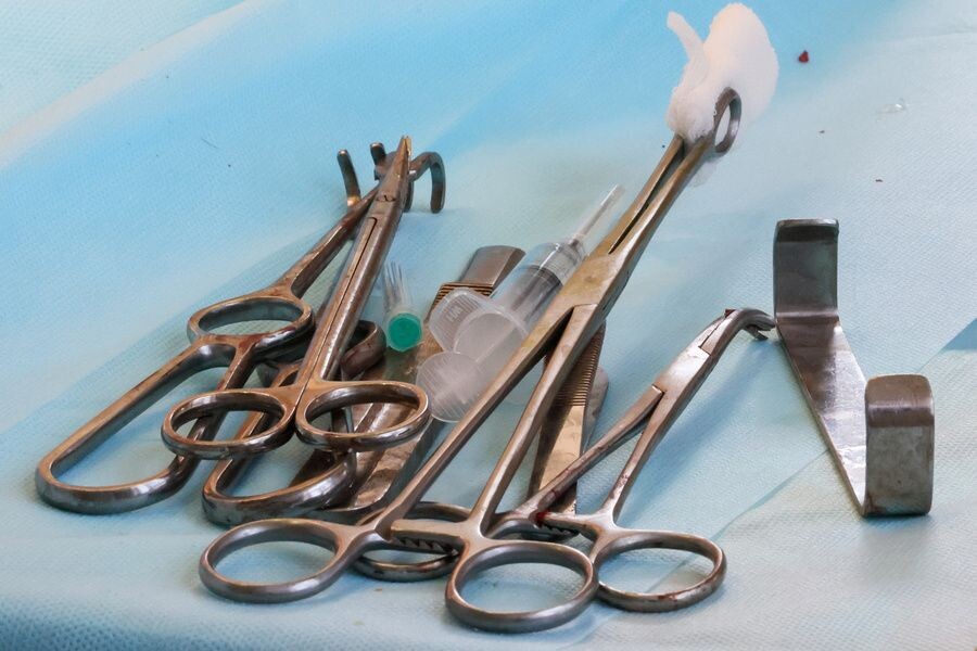     / Источник: © Дмитрий Ягодкин/ТАСС