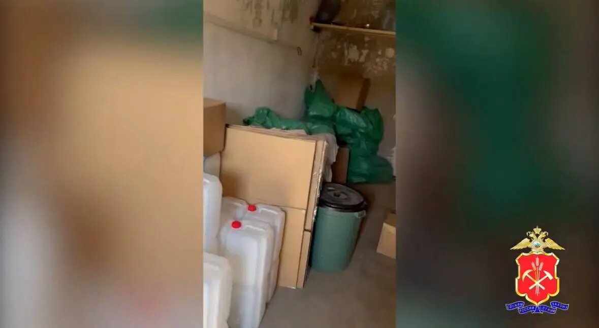    Фото: скриншот видео пресс-службы МВД России