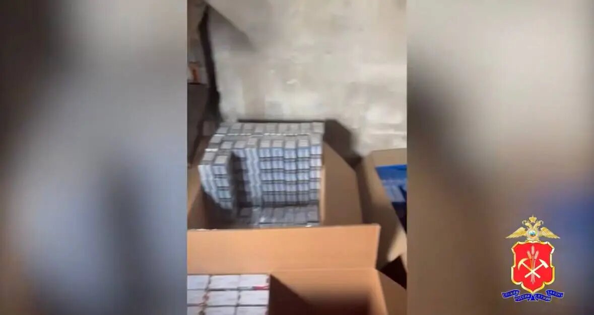    Фото: скриншот видео пресс-службы МВД России