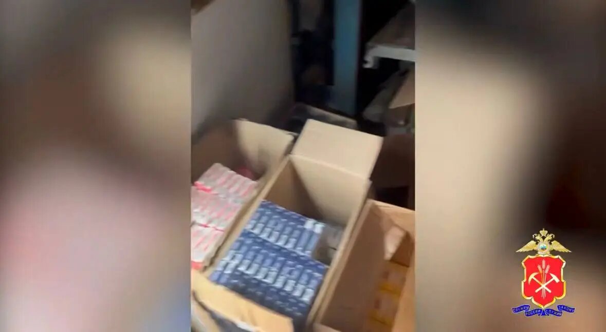    Фото: скриншот видео пресс-службы МВД России