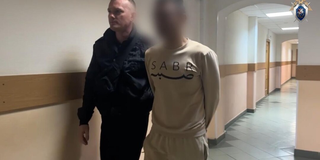 Мигранта, который пытался похитить мальчика, отправили в СИЗО