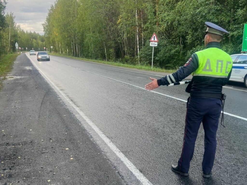    Фото: Госавтоинспекция Петрозаводска / ВК