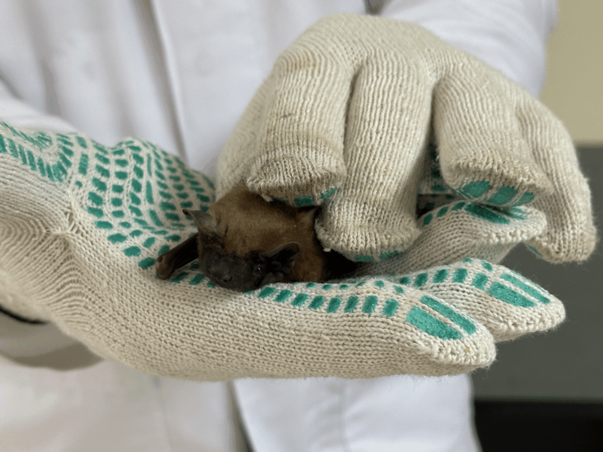    Фото: пресс-служба Российского научного фонда