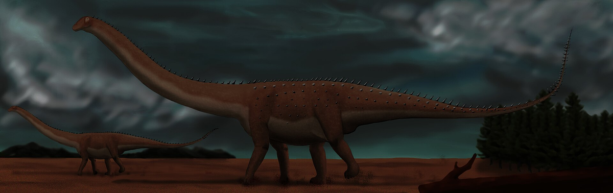 Каатедок, один из видов, чьи зубы изучались в рамках данного исследования