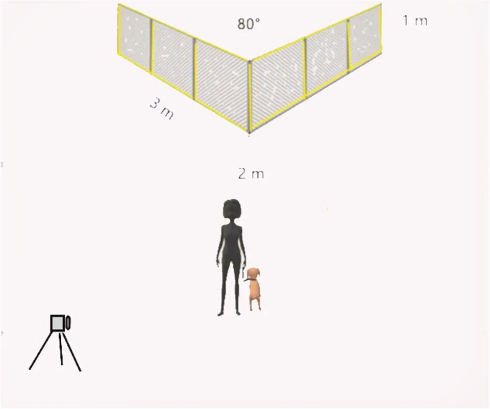   Csenge Anna Lugosi et al. / Behavioral Ecology and Sociobiology, 2025