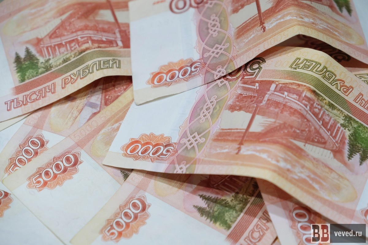     Фото: Владислав Постников / Вечерние Ведомости