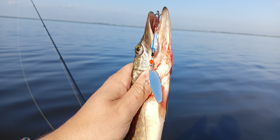Рыбалка без улова? Блесна-вертушка Fish Shell исправит ситуацию!