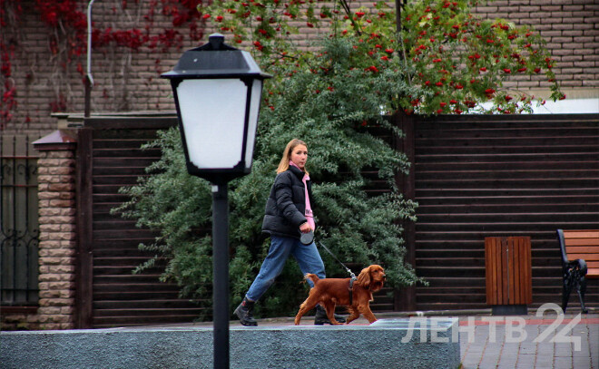    © Анастасия Илюшина / ЛенТВ24