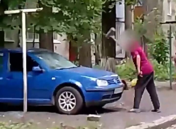    Фото: скриншот видео