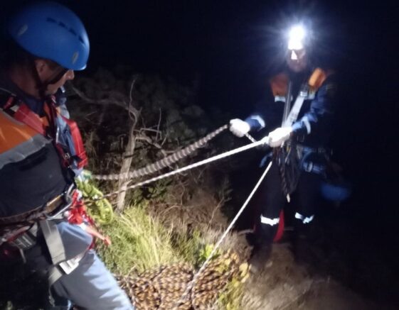    Эвакуация туриста с горного склона. Фото: t.me/spasanapa