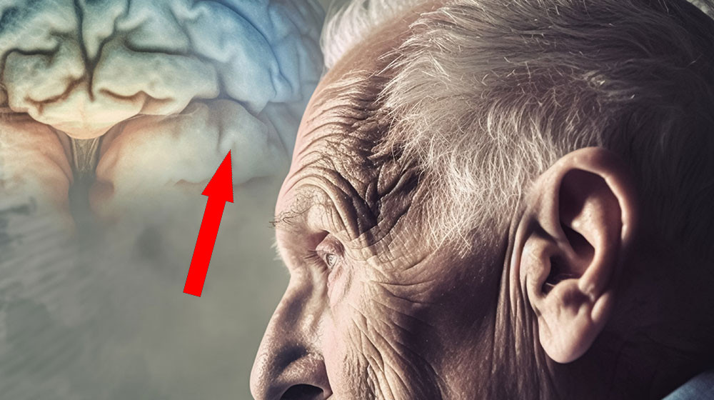    Найди 10 спрятанных предметов и обмани Альцгеймера навсегда