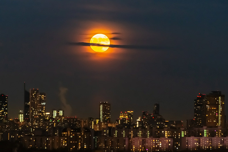    Roman Denisov/Global Look Press