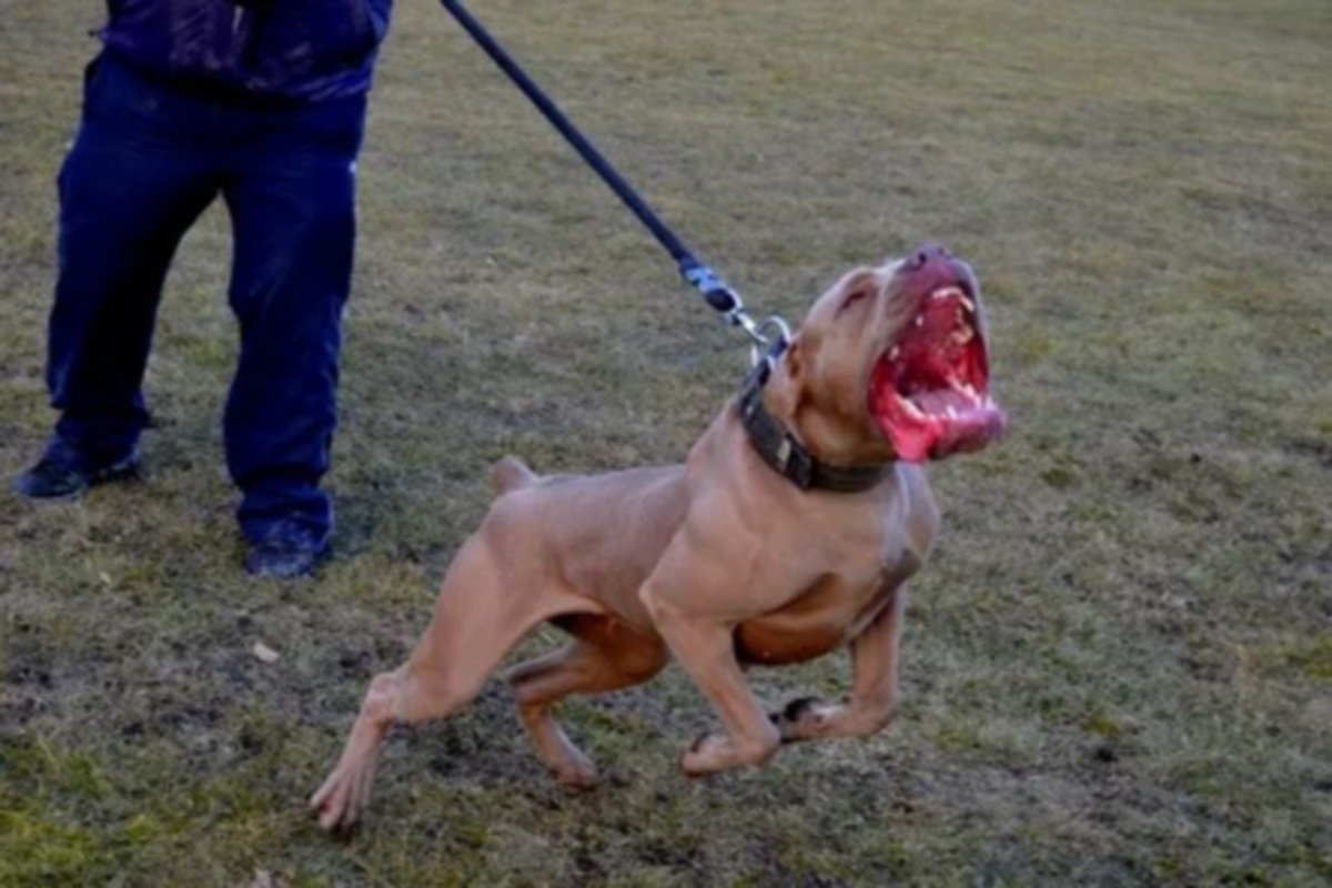    Фото: «Уфа и Республика Башкортостан»/vk.com